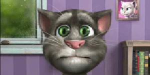 Spiel - Talking Tom Cat 2