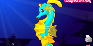 Elegant Sea Horse