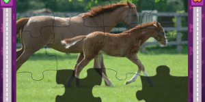 Spiel - Jigsaw World Horses