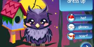 Spiel - Owl Care