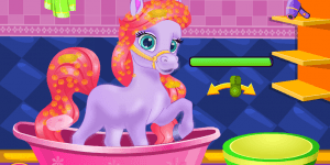 Spiel - Pretty Pony Grooming
