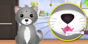 Spiel - Kitty Grooming Salon 2