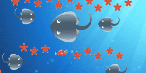 Spiel - Star Fish