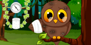 Spiel - Pet Stars: Baby Owl
