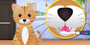 Spiel - Kitty Grooming Salon