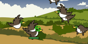 Spiel - Bird Blast