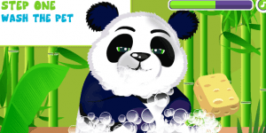 Spiel - Panda Care