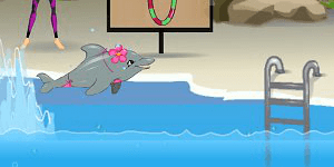 Spiel - Meine Delfinshow