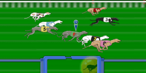 Spiel - Greyhound Racer
