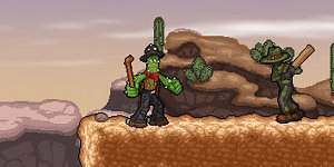 Spiel - Cactus McCoy