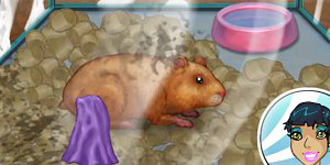Spiel - Hamster Daycare